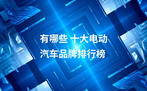 有哪些 十大电动汽车品牌排行榜